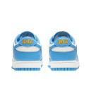 Nike Dunk Low Coast DD1503-100