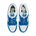Nike SB Dunk Low x Born x Raised FN7819-400