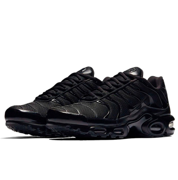 Nike Air Max Plus Triple Black 604133-050