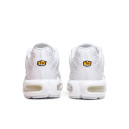 Nike Air Max Plus White DM2362-100