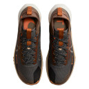 React Pegasus Trail 4 Gore-Tex Anthracite Ale Brown FD5841-001