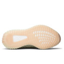 Adidas Yeezy Boost 350 V2 Antlia (Reflective) FV3255