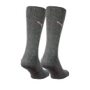 Шкарпетки Puma CLASSIC 2P 90712804
