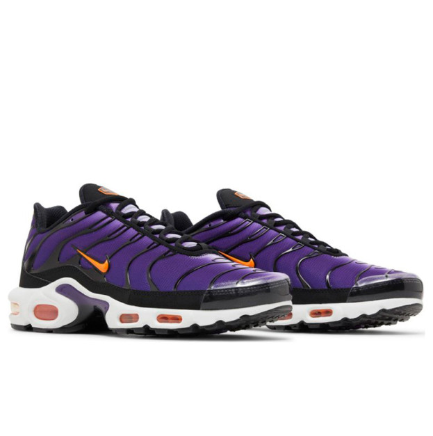 Nike Air Max Plus Voltage Purple DX0755-500