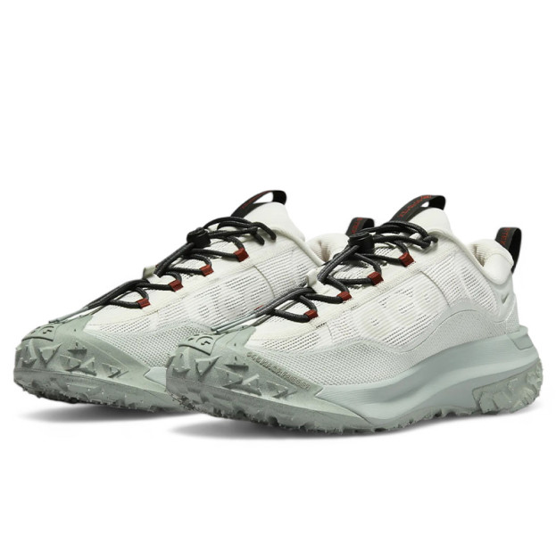 Nike ACG Mountain Fly 2 Low Gore-Tex Phantom Light Silver HF6245-003
