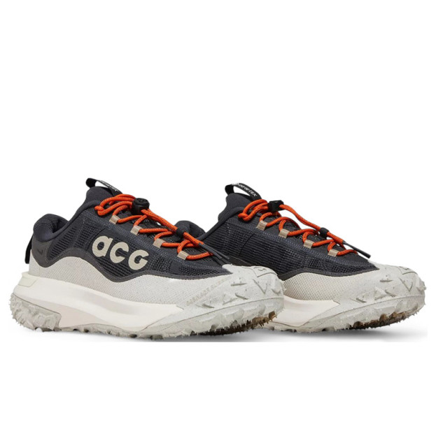 Nike ACG Mountain Fly 2 Low Gore-Tex Dark Smoke Grey HF6245-002