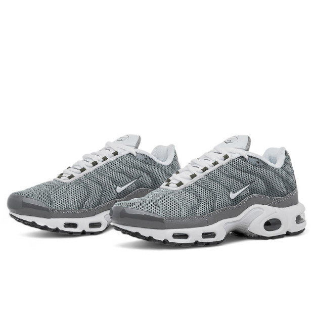 Nike Air Max Plus Flat Pewter White DV7665-002