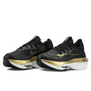 Nike Air Zoom Alphafly NEXT 2 Black Metallic Gold Grain DN3559-003