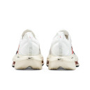 Nike Air Zoom Alphafly NEXT 2 Eliud Kipchoge FD6559-100