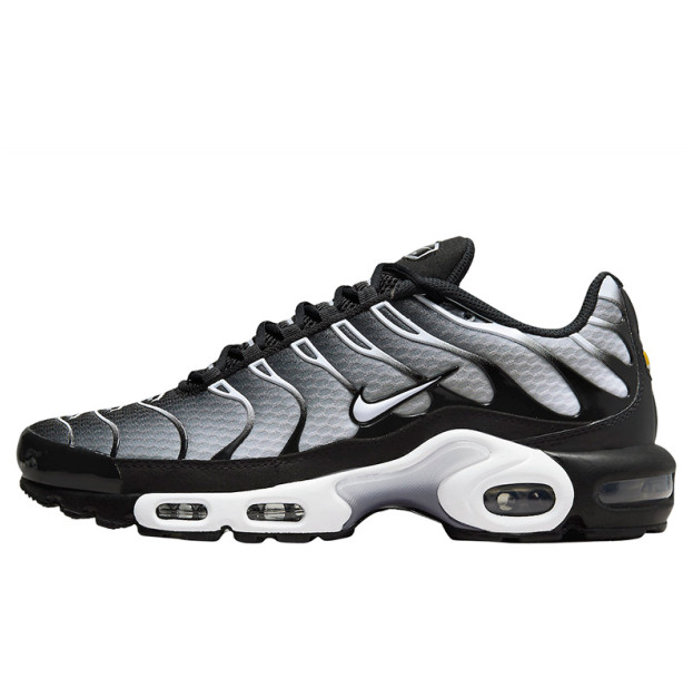 Nike Air Max Plus Black White Gradient DM0032-003