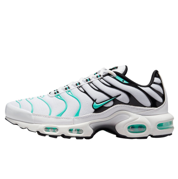 Nike Air Max Plus TN White Mint Black 604133-148