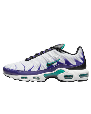 Nike Air Max Plus Grape DM0032-100