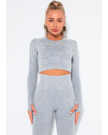 Рашгард Сірий