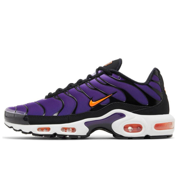 Nike Air Max Plus Voltage Purple DX0755-500