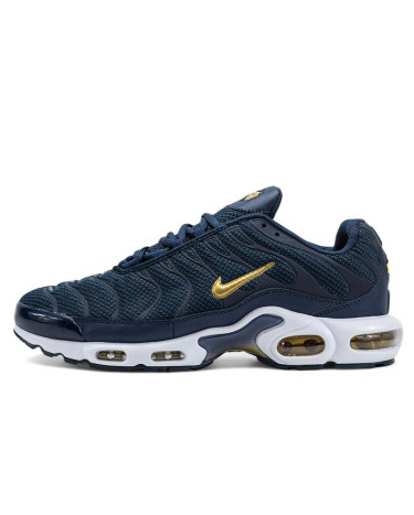 Nike Air Max Plus French Football Federation FB3350-400