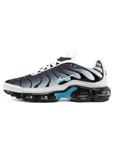 Nike Air Max TN Plus Blue Grey