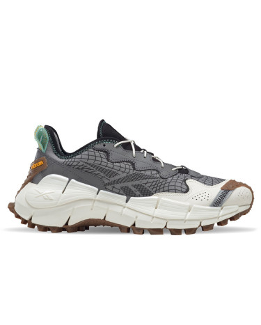 Reebok Zig Kinetica II Edge Gore-Tex Pure Grey GX2567