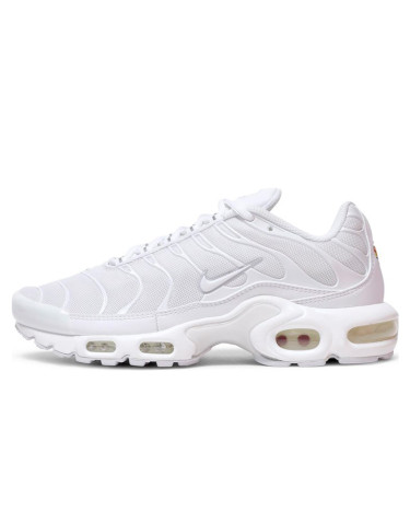 Nike Air Max Plus White DM2362-100