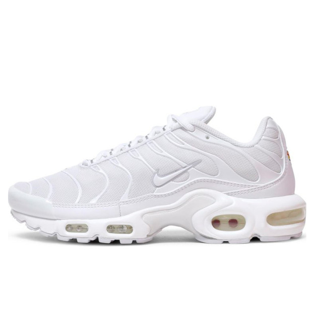 Nike Air Max Plus White DM2362-100