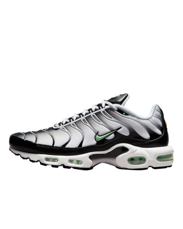 Nike Air Max Plus White Black Mint Green DH4776-100
