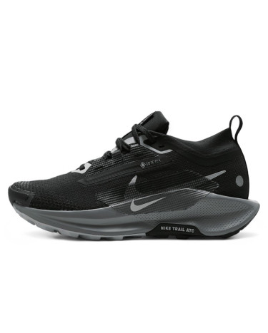 Nike Pegasus Trail 5 Gore-Tex Black Wolf Grey FQ0912-001