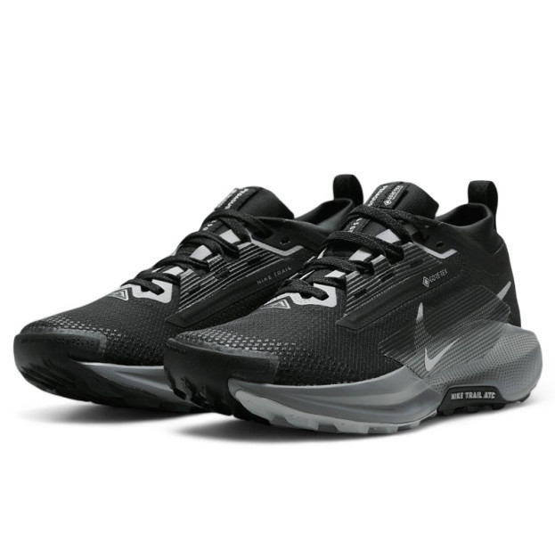 Nike Pegasus Trail 5 Gore-Tex Black Wolf Grey FQ0912-001