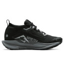 Nike Pegasus Trail 5 Gore-Tex Black Wolf Grey FQ0912-001