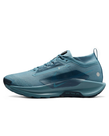 Nike Pegasus Trail 5 Gore-Tex Smokey Blue FQ0908-005