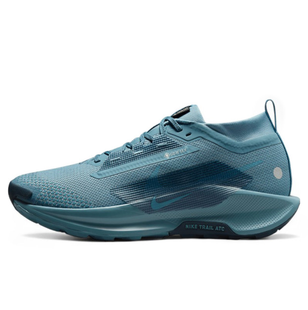 Nike Pegasus Trail 5 Gore-Tex Smokey Blue FQ0908-005