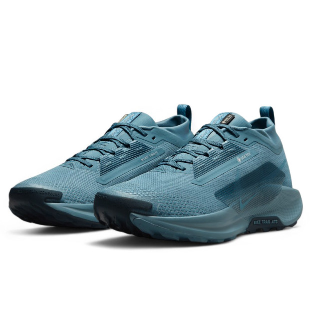 Nike Pegasus Trail 5 Gore-Tex Smokey Blue FQ0908-005