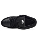 Nike SB Dunk Low Black White Gum З ХУТРОМ